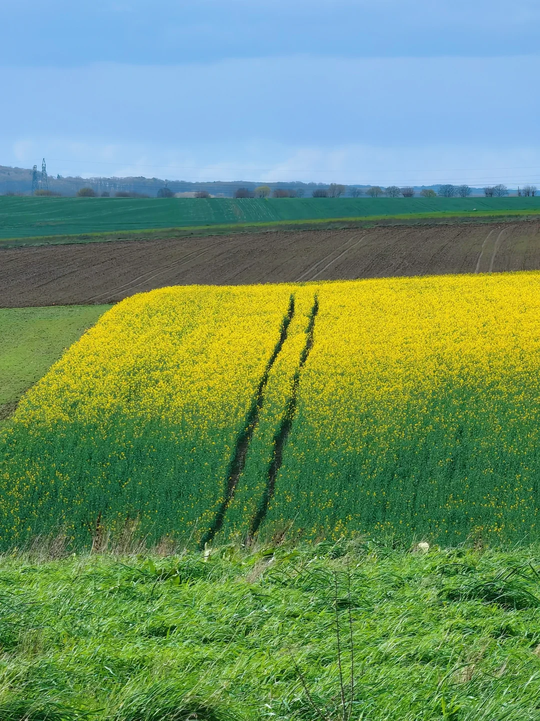 April 1st Hike in the 95th Arrondissement of Greater Paris