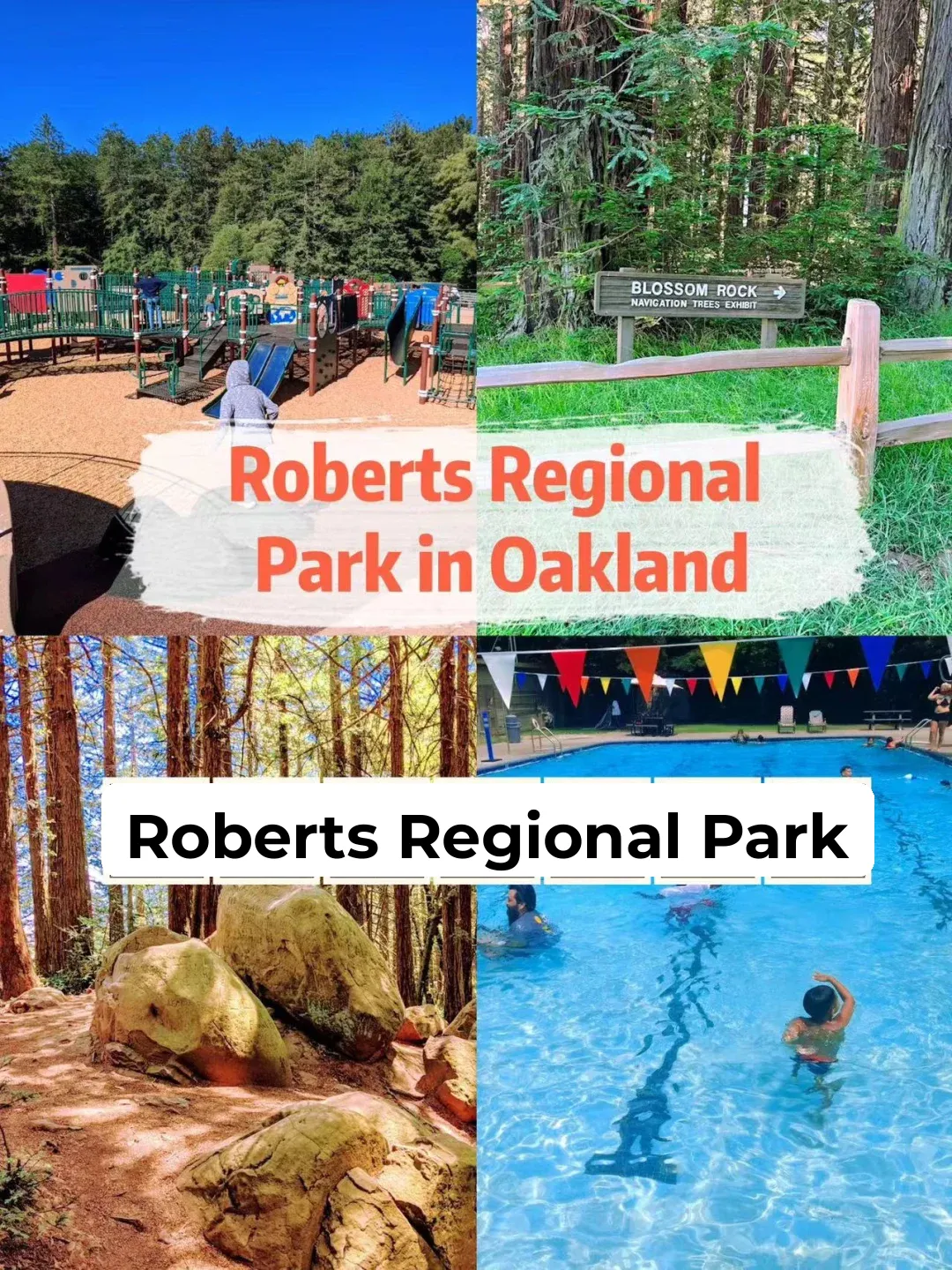 Bay Area Family Fun Spots! Save This List Now!