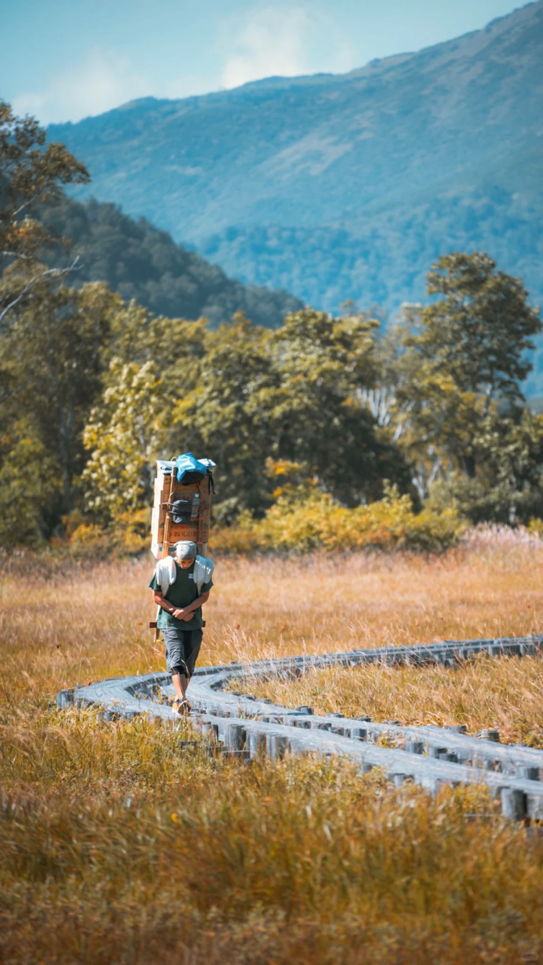 Guide to Hiking in Oze National Park ⭐