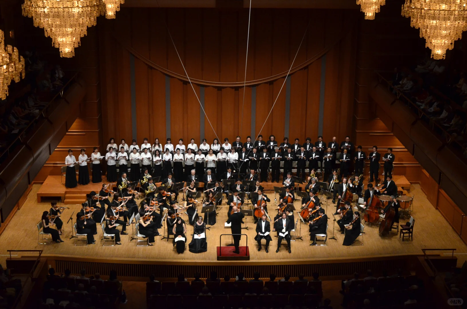 🇯🇵 Exciting Performance Exchange Opportunity at a Renowned Concert Hall