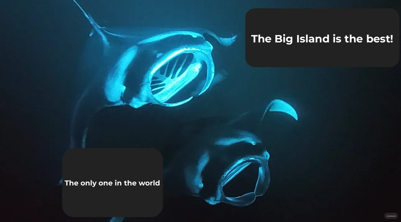 Regretting Not Coming to the Big Island of Hawaii Sooner!!