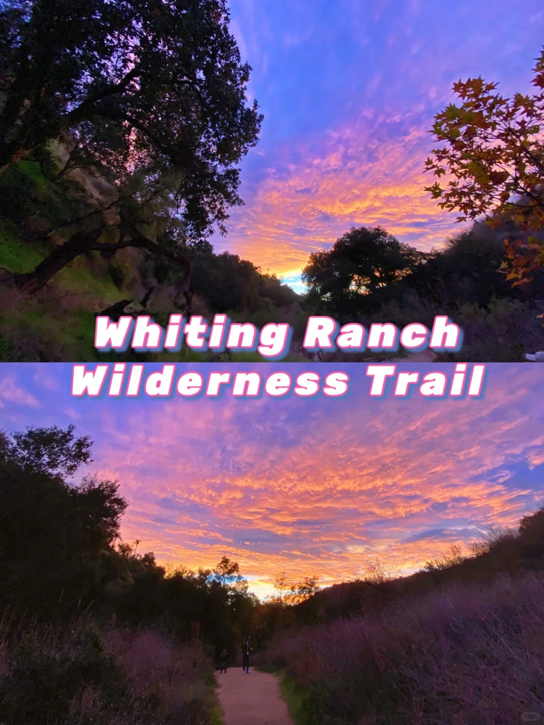 【USA】Southern California | Los Angeles | Irvine | Hidden Gem Hiking Trails