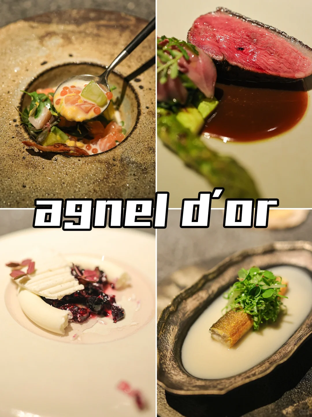 Osaka | In a Japanese-French Fusion, I Found Miso, Plum, and Ginger⁉