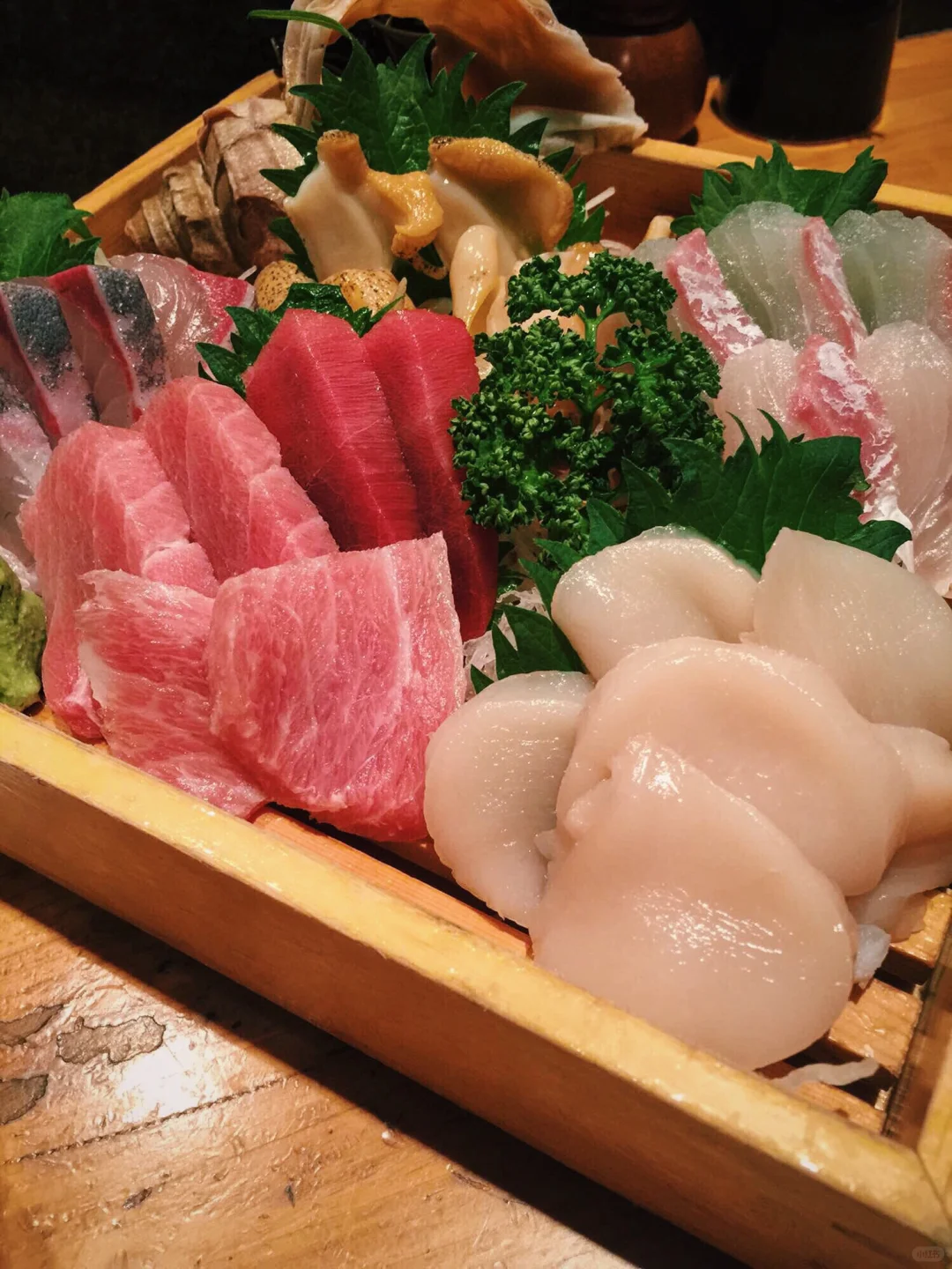 Wall-to-Wall Recommendation! Offbeat Tokyo! Seafood Spot Only the Locals Know 🎏