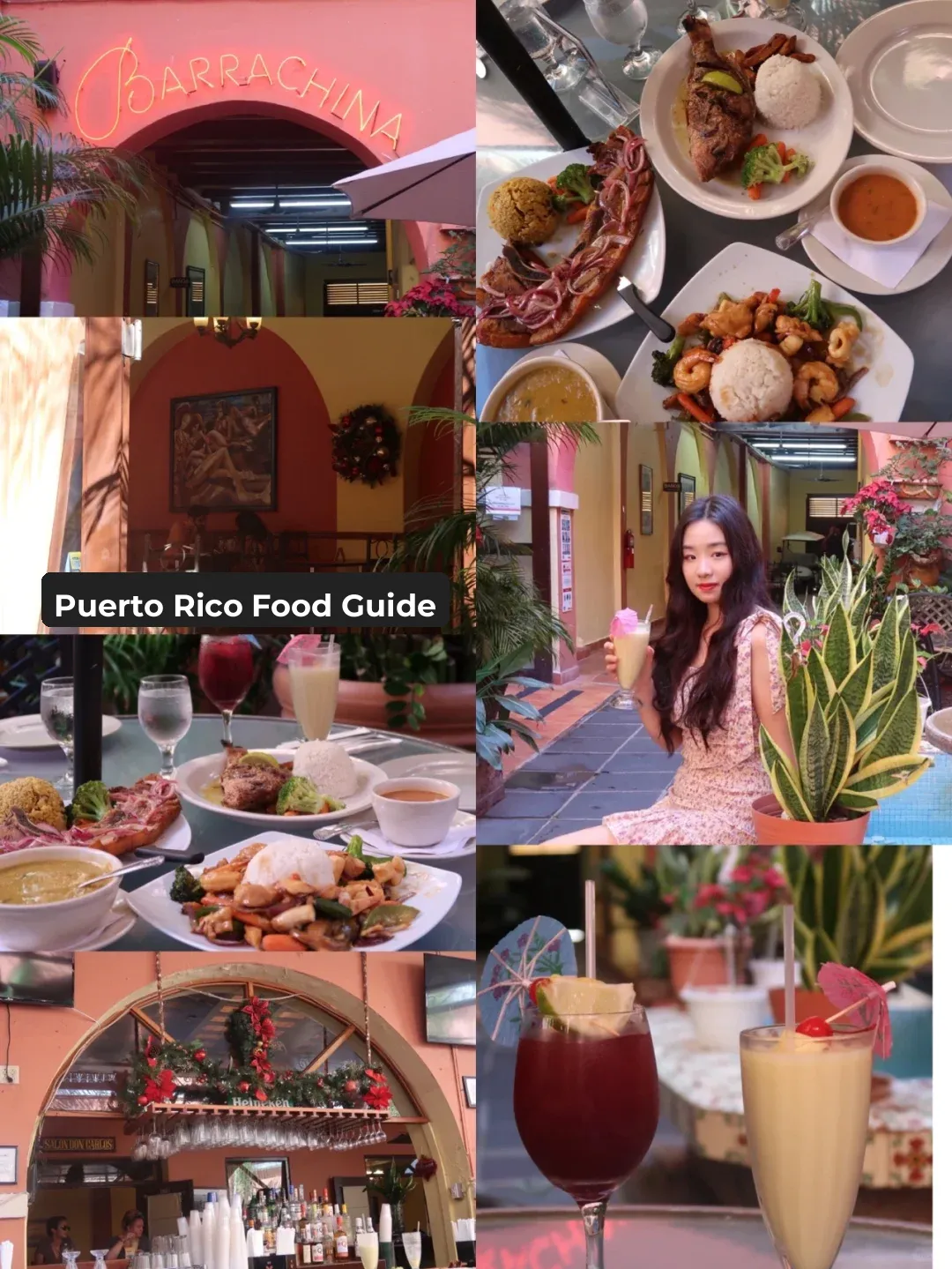 Puerto Rico Food Guide 🍽️
