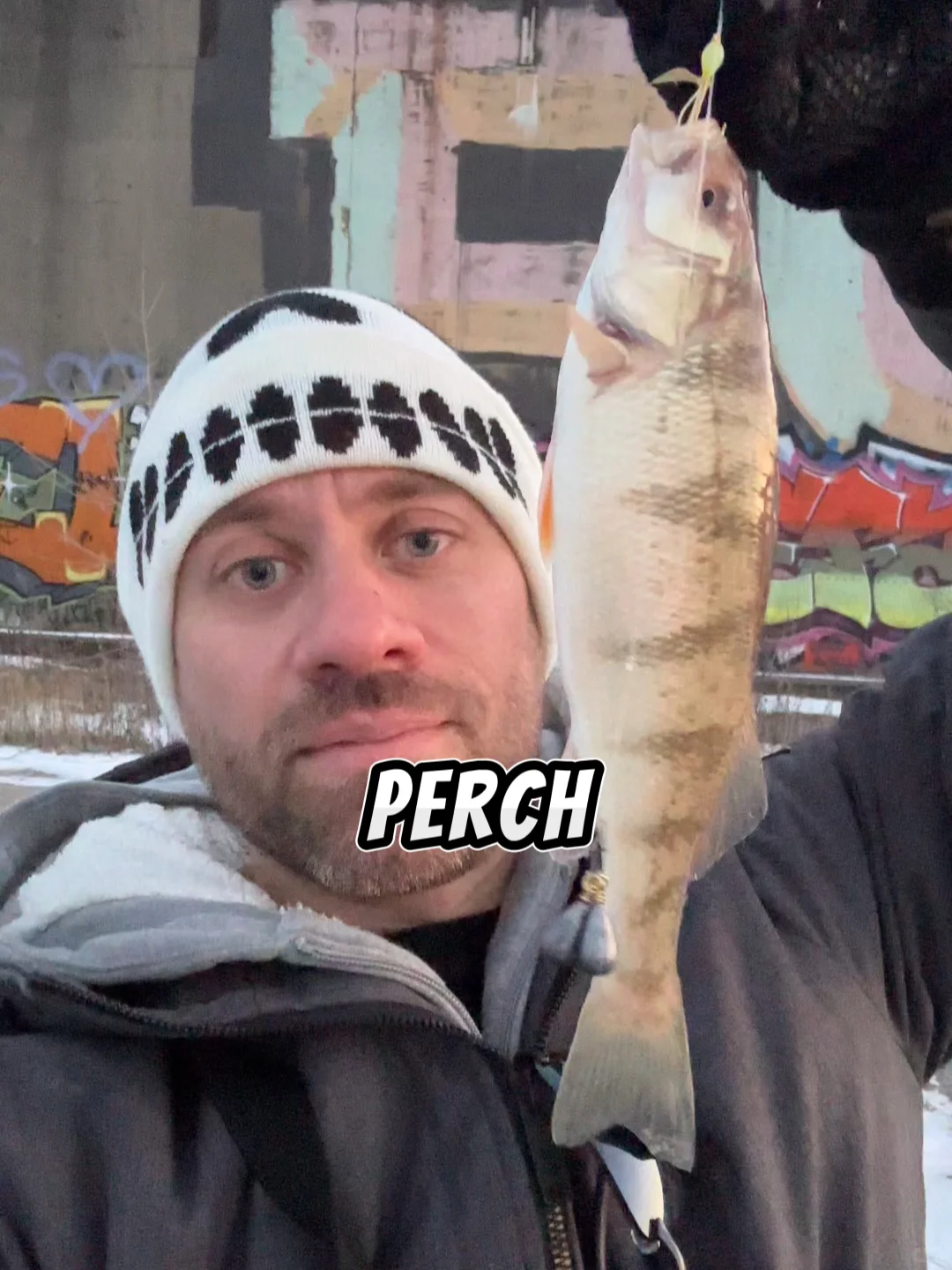 "Angling Adventures in Chicago �"