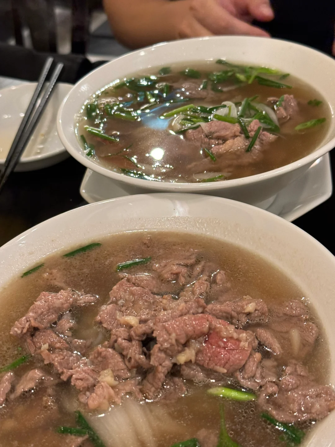 Tokyo Shibuya 🇻🇳 Beef Rice Noodles ~ Spring Rolls ~ Bibimbap ~