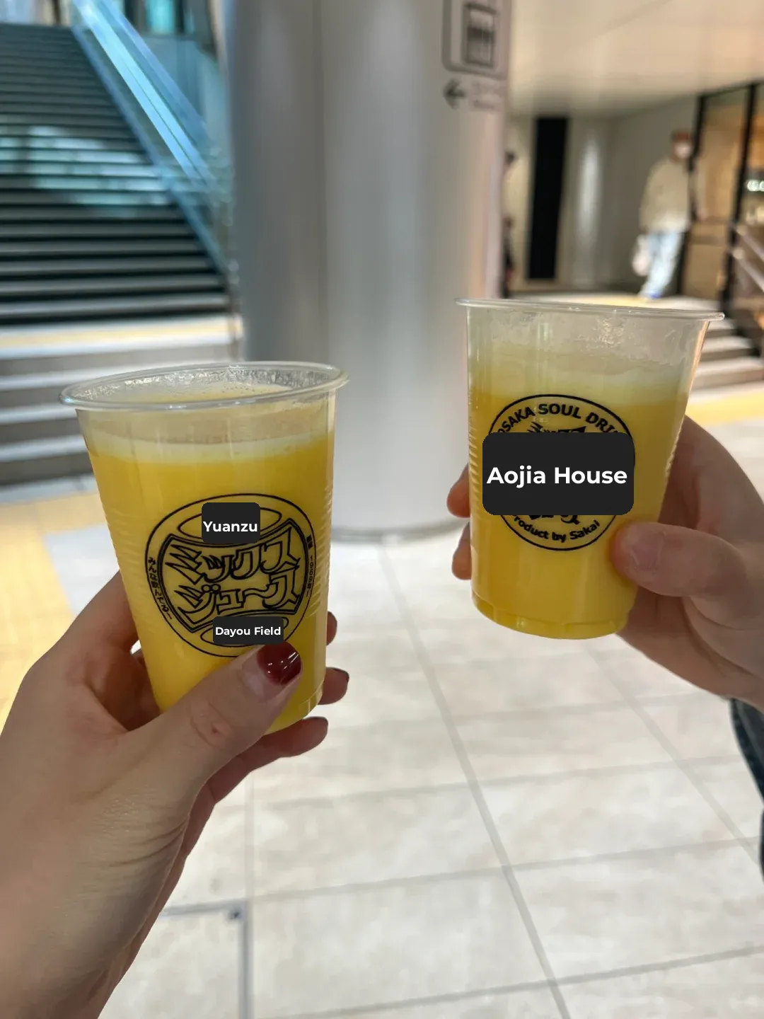 Must-Try Unique Eats in Osaka's Umeda