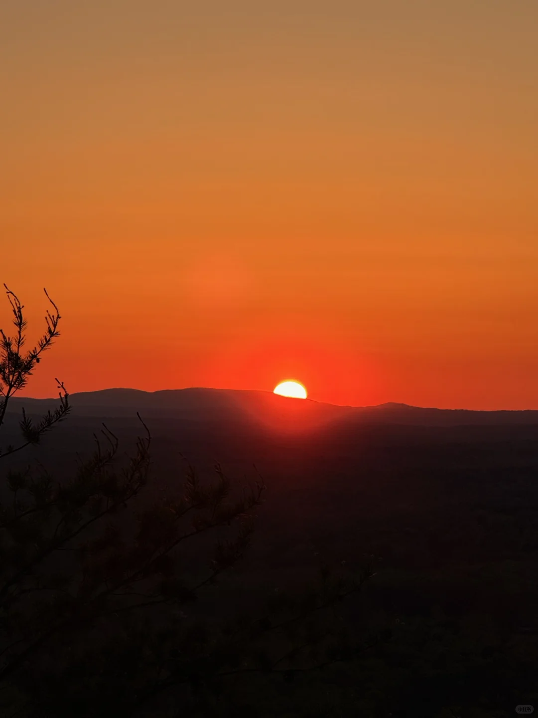 📍Found Another Perfect Spot to Watch the Sunset in Atlanta
