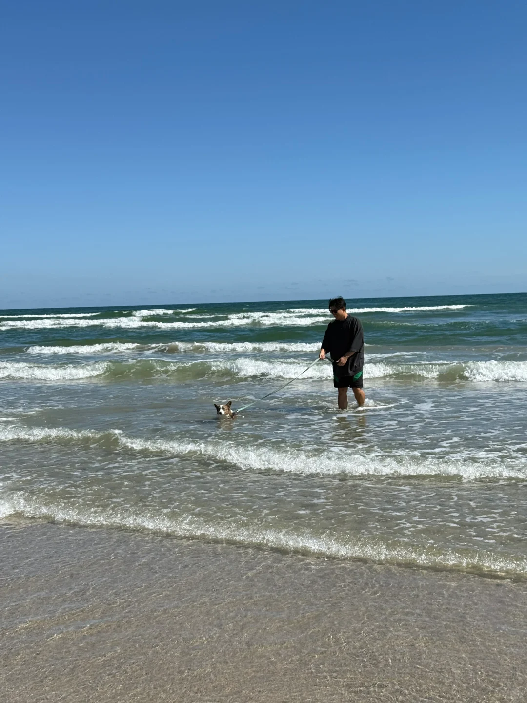 photo-3