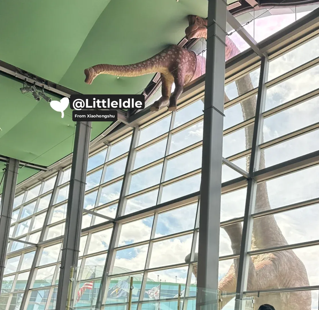 Traveling to Indianapolis: Exploring Indy