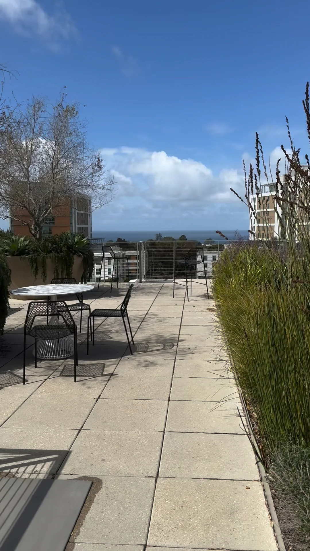 UCSD Campus Dining Spots in San Diego