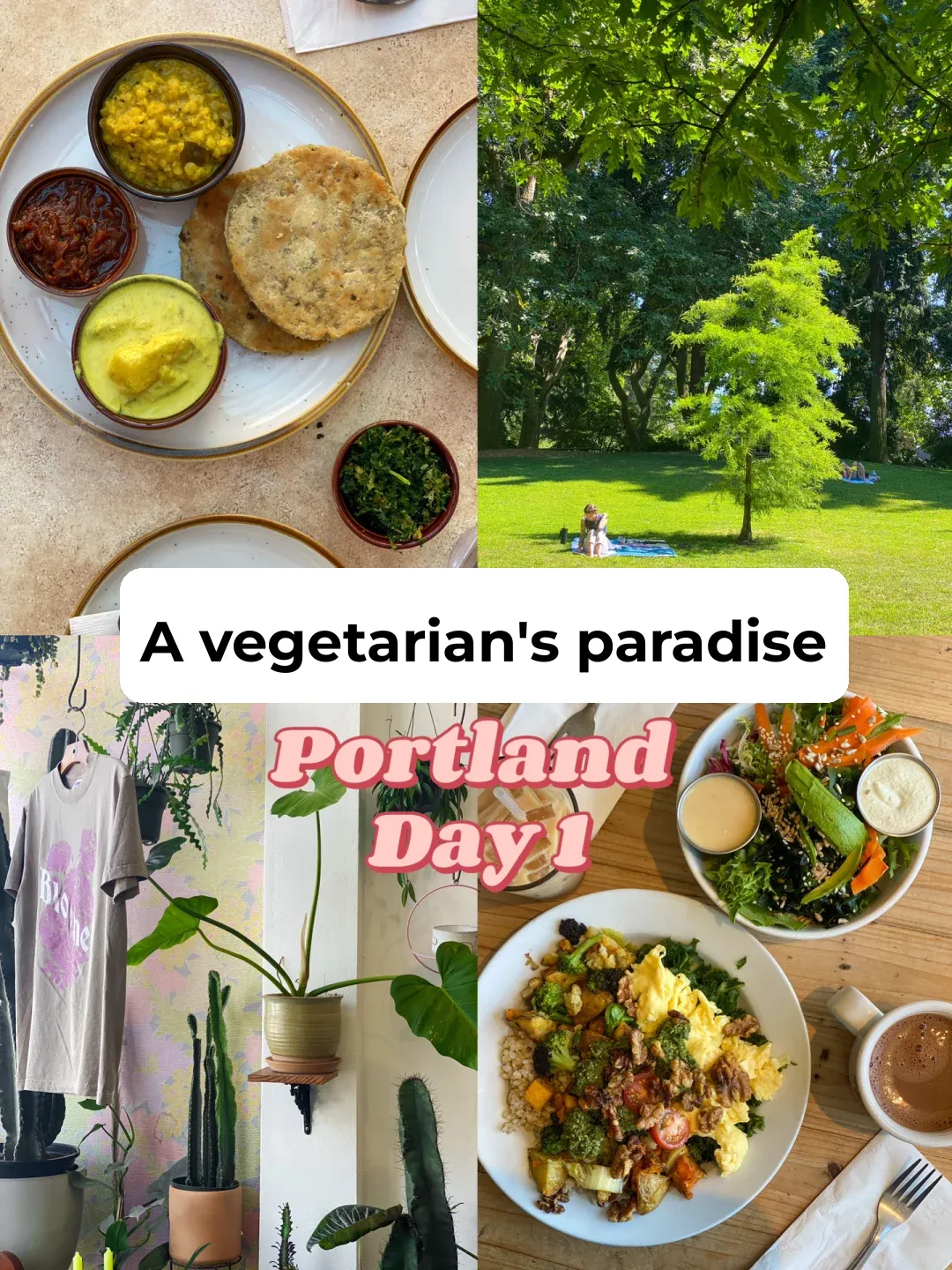 🇺🇸 Hidden Gem 🌿 Vegan City | Vegan Thai Food + Sri Lankan Cuisine
