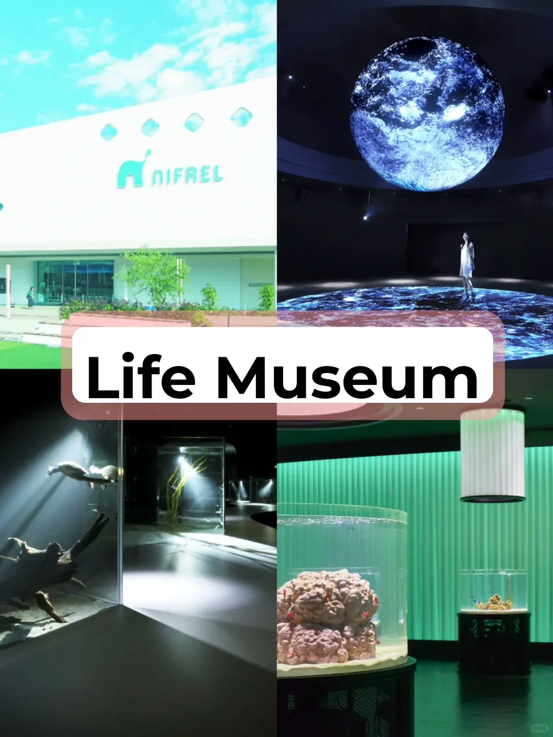 Summer Family Fun Guide in Osaka, Japan | Learn While You Play 🇯🇵