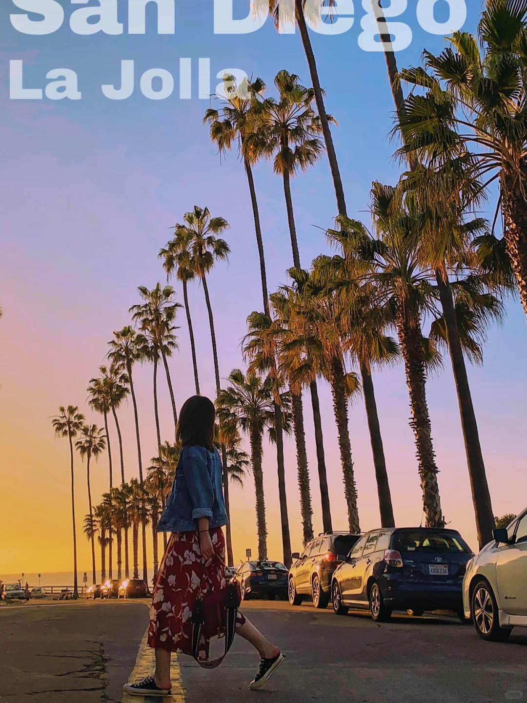 🌴Ultimate Guide to Stunning Photo Spots in La Jolla, California – All You Need in One Post