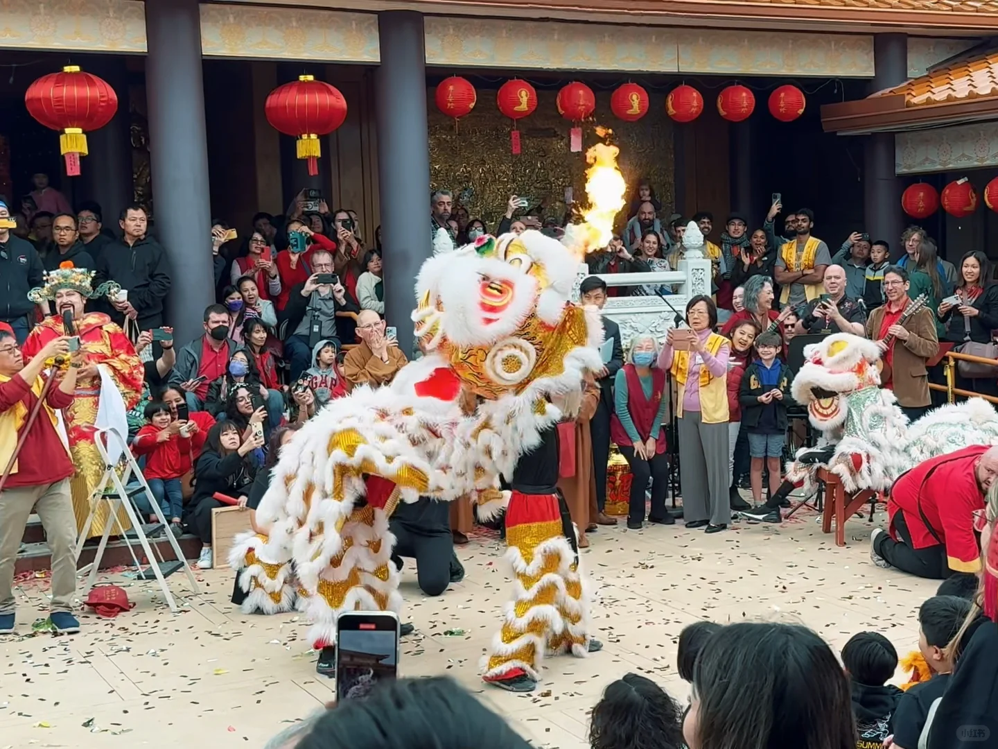 Celebrating Chinese New Year in Austin｜The Lion Dance Performance Was Absolutely Spectacular!