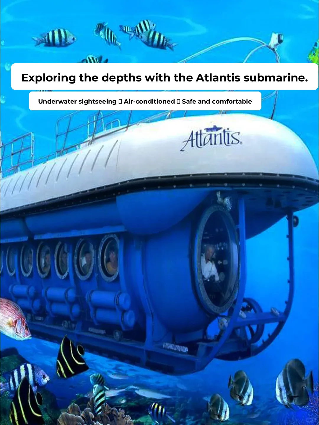 Hawaii Travel Guide: Atlantis Submarine Deep Sea Adventure
