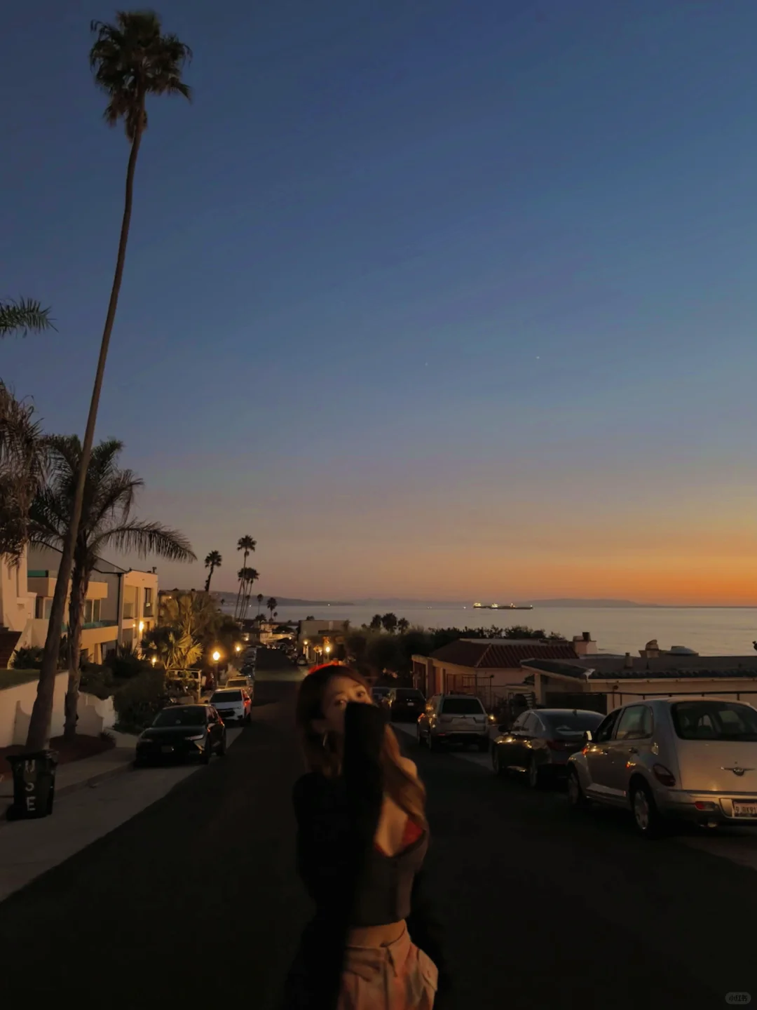 Los Angeles Sunset 🌅 | Sunshine, Seagulls, Sunset Beach, and Palm Trees 🏝️