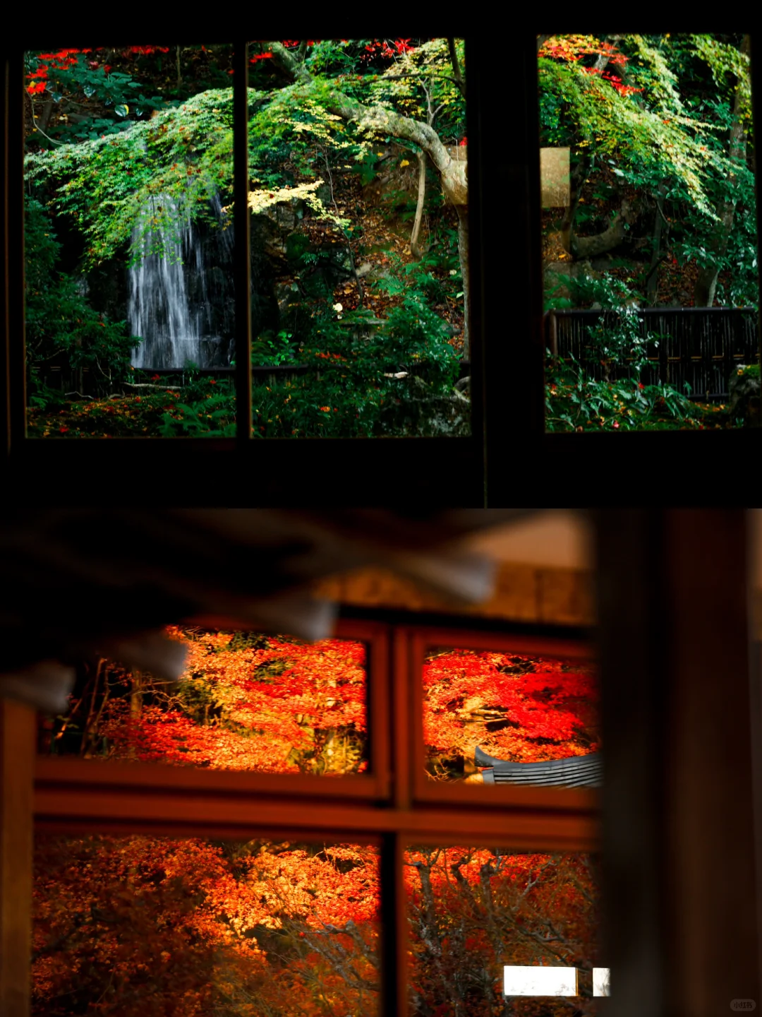 Stunning Window Views at Kyoto's Nanzen-ji Temple During Maple Season