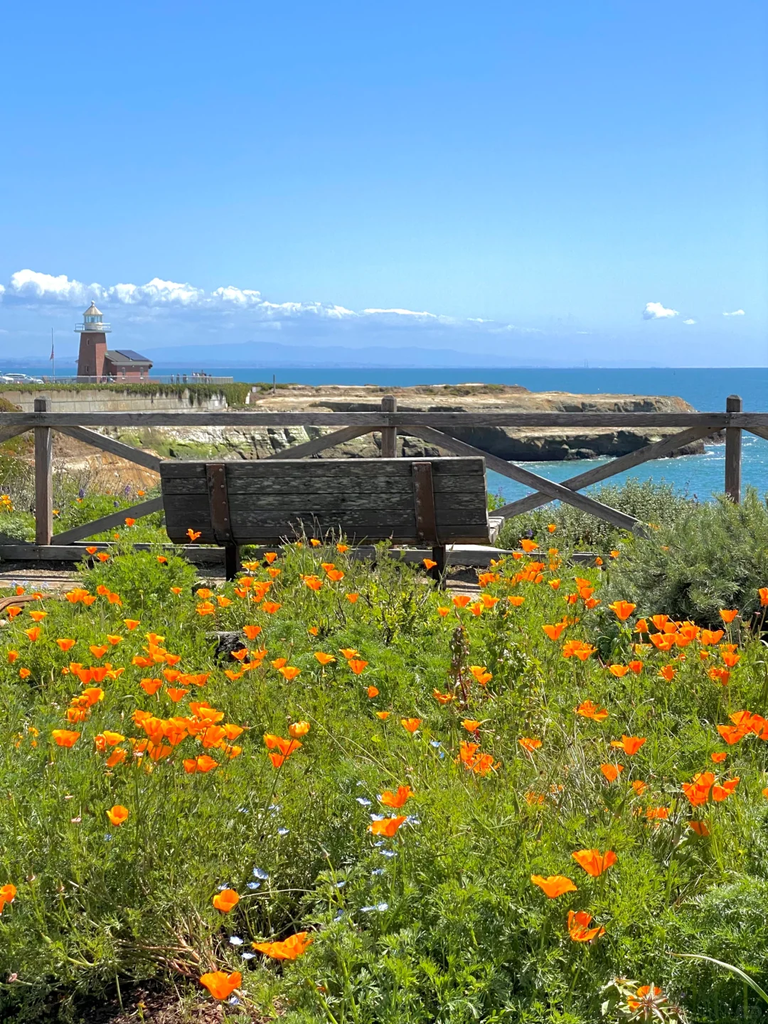 Santa Cruz｜A Seaside Town Blooming in the Warmth of Spring