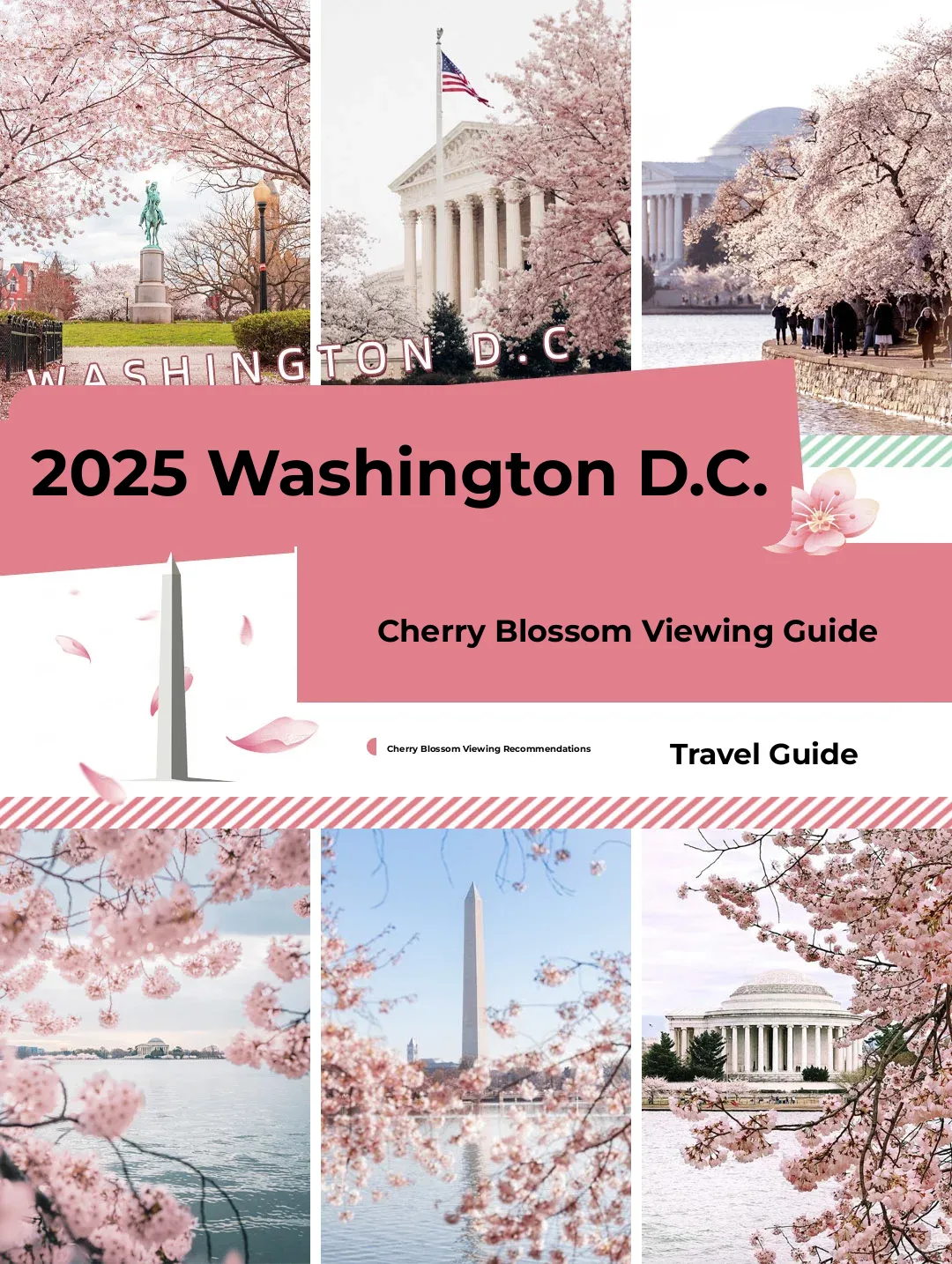 2025 Washington Cherry Blossom Viewing 🌸 | Top 7 Spots + Cherry Blossom Festival Guide