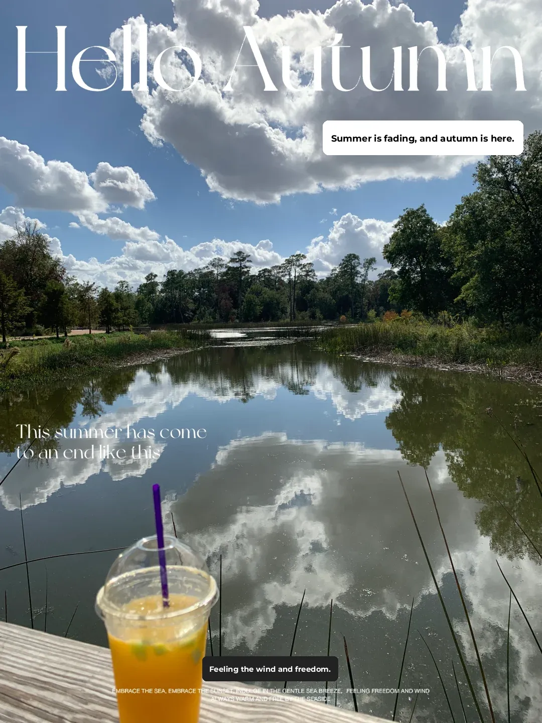 Houston Memorial Park