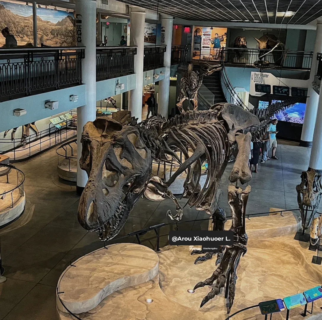Philadelphia Museum of Natural Science – A Must-Visit Experience for Kids 🦕