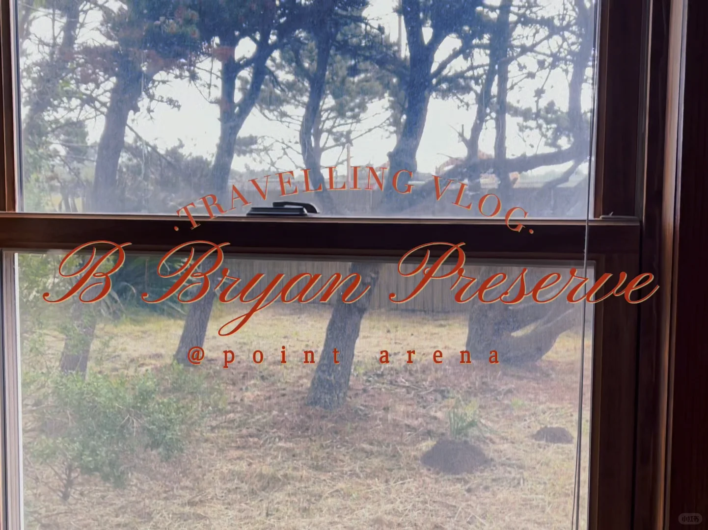 Bay Area Family Getaway 1: Hot Springs, BBQ, and Giraffes Outside the Window