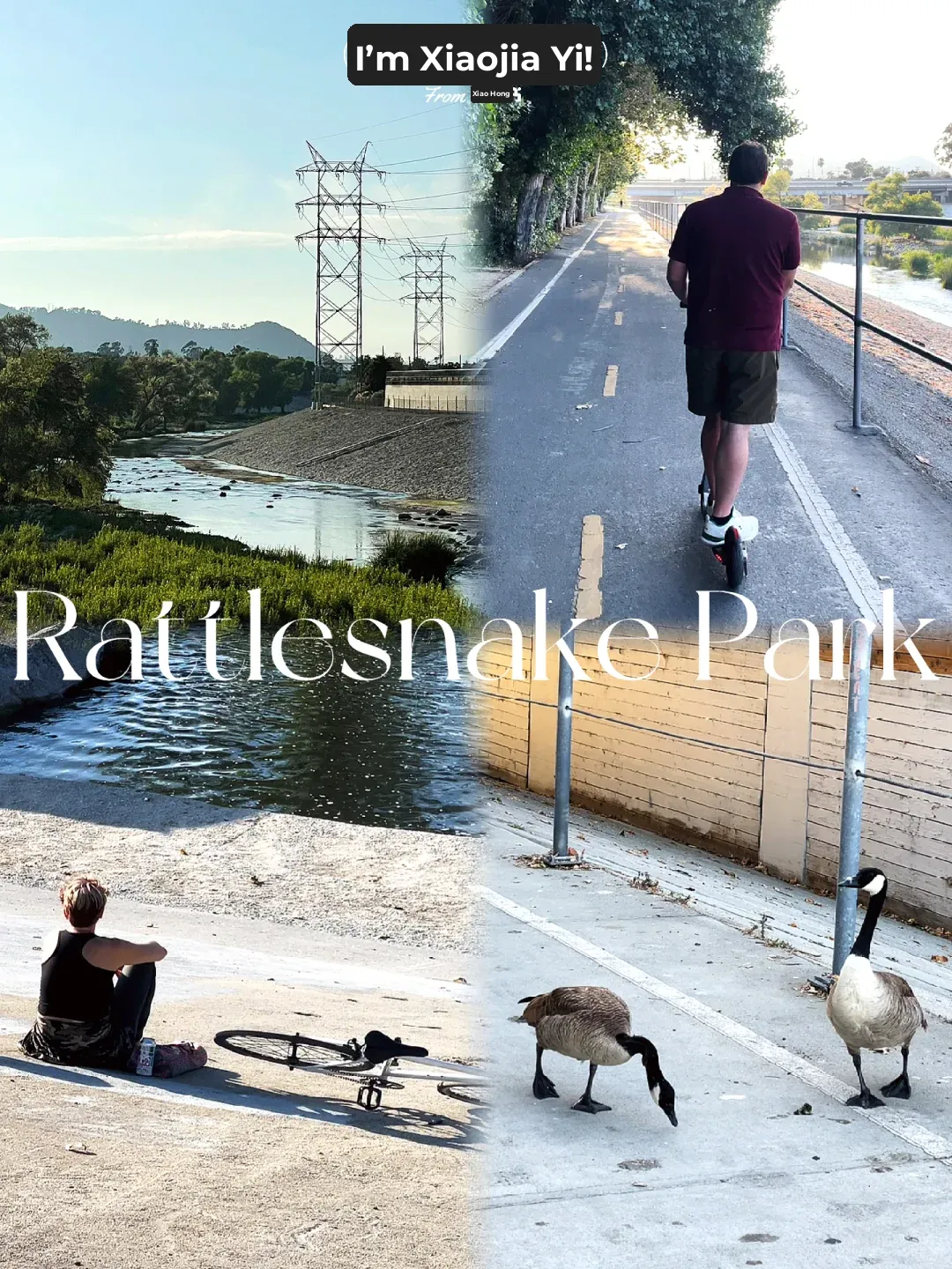 Who Knew LA Had Such a Chill Riverside Park Hidden Away?