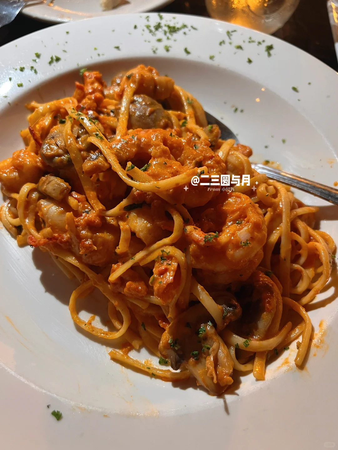 Washington, DC | Italian Cuisine in Georgetown 🍝 Lobster Seafood Pasta
