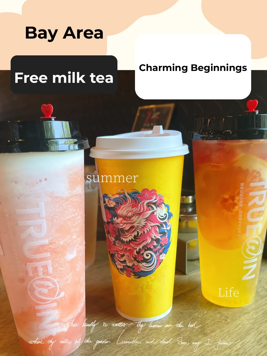 Bay Area Food Hunt | Today's Happiness is Brought to You by Free Bubble Tea 🧋