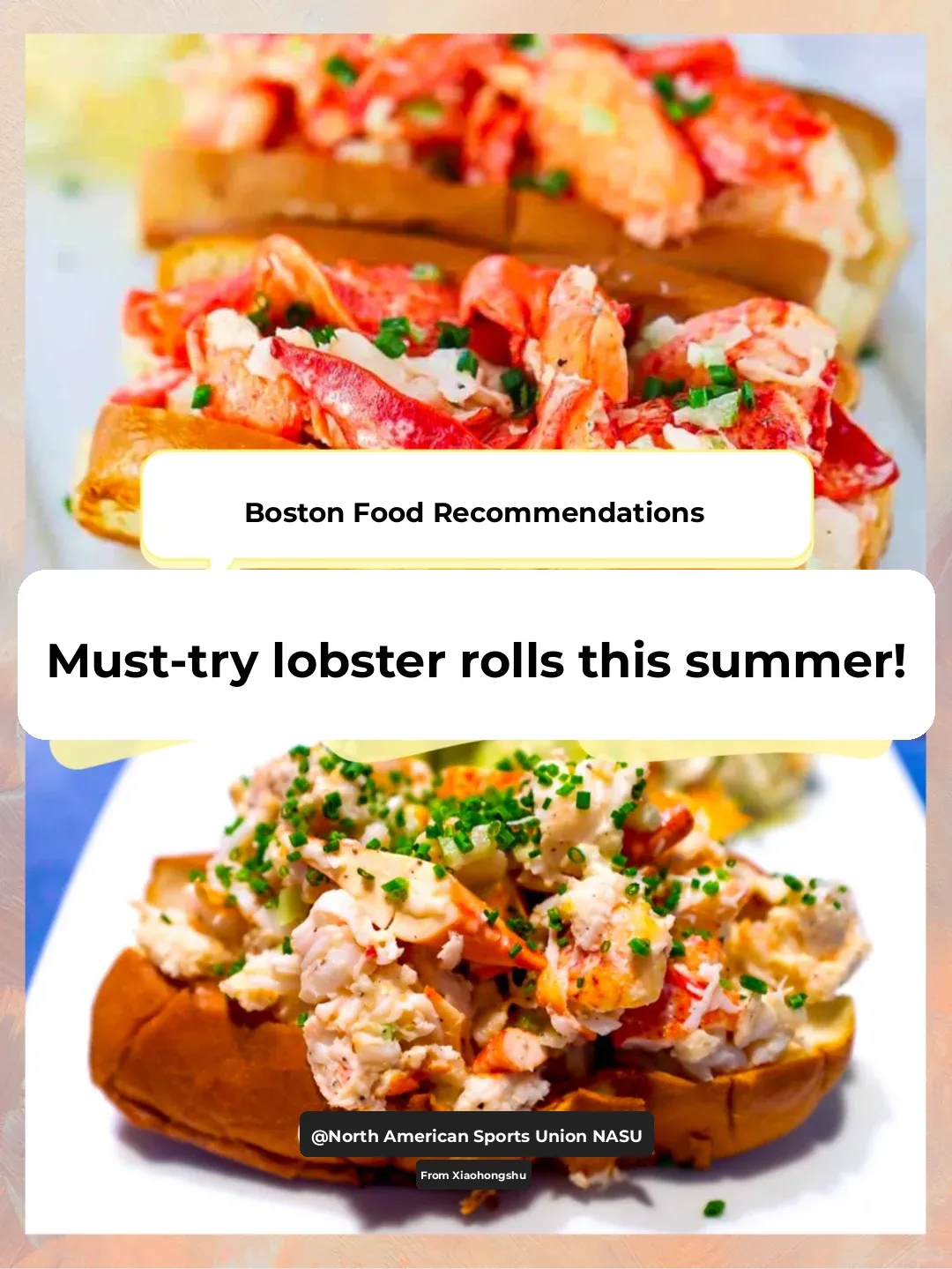 🦞 6 Must-Try Lobster Rolls in Boston for Summer 🥪