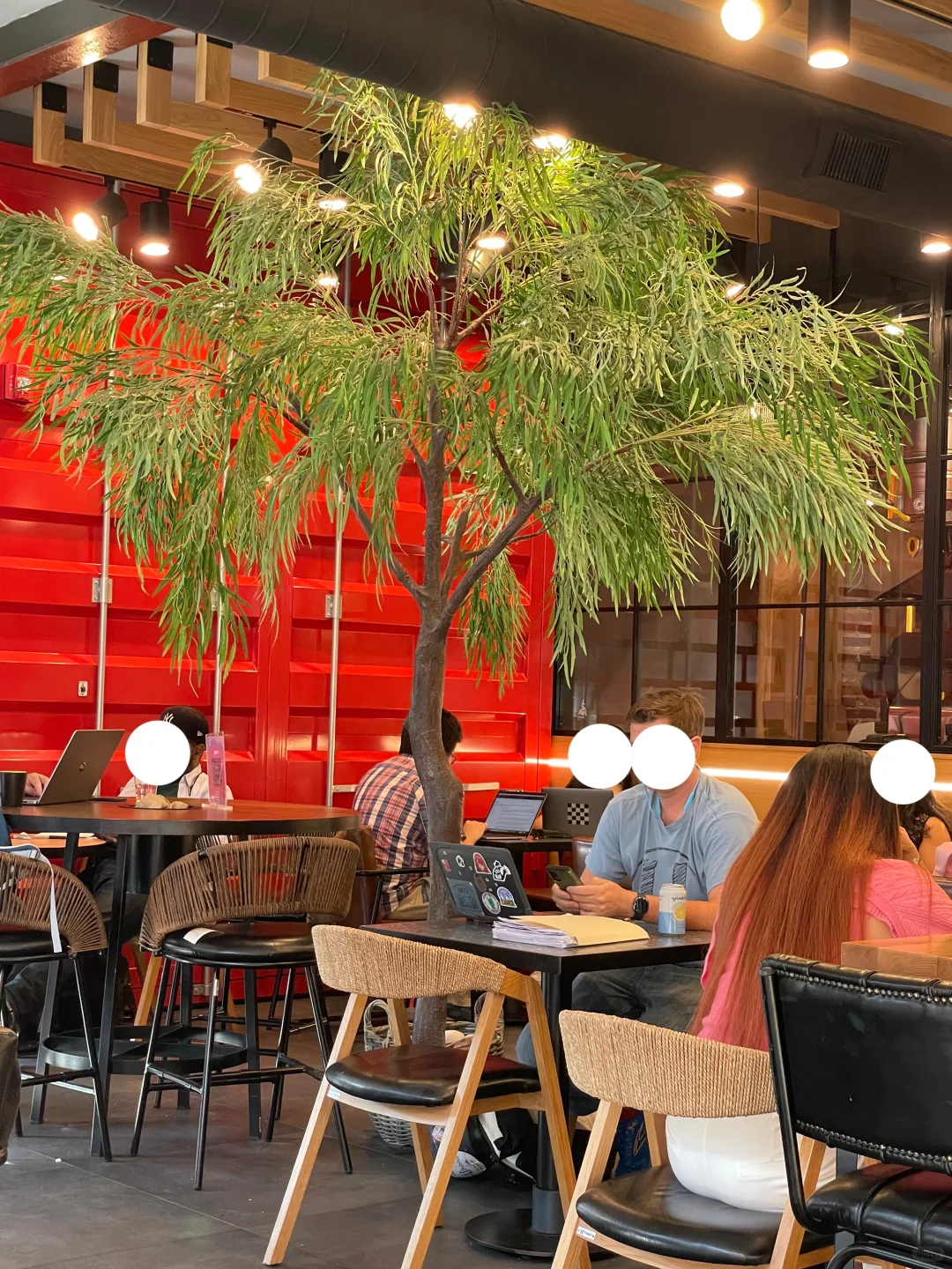 🍵Philly｜Doing Homework at Madis Must Be So Fun 555