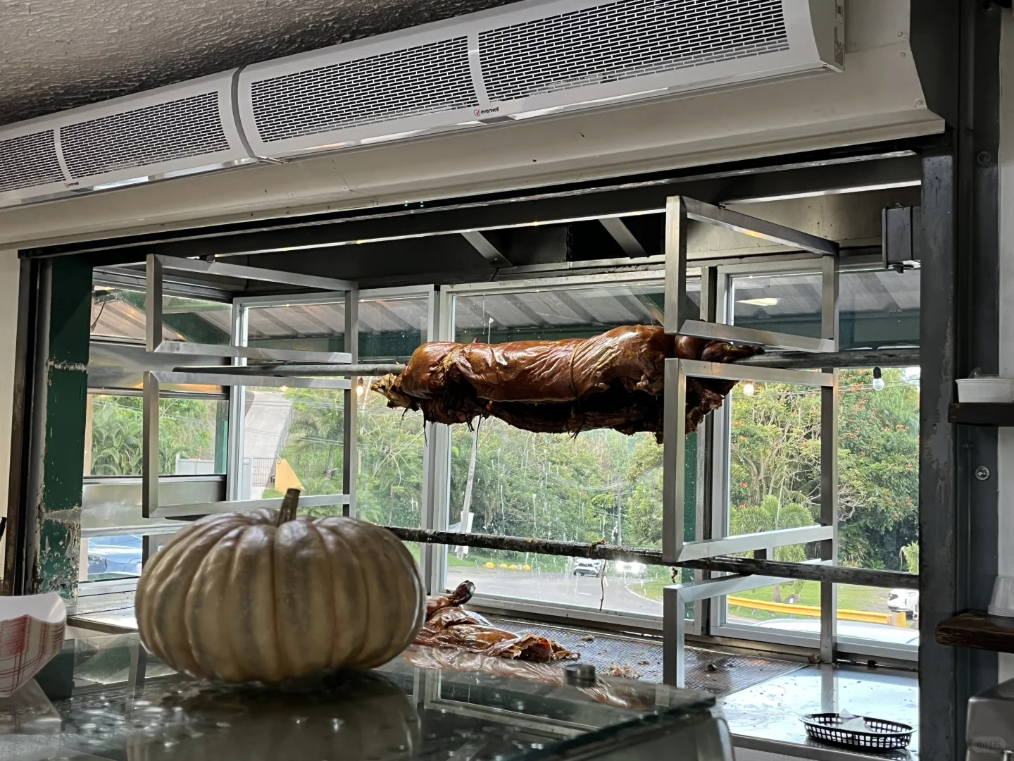 January 2025 Puerto Rico Island Tour (Day 2)