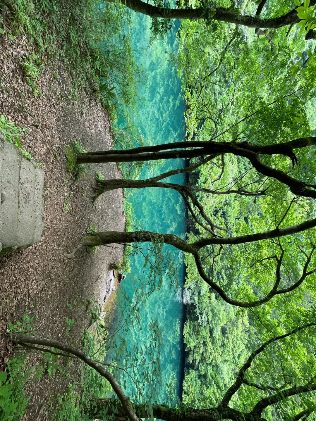 Electric Train Access: 8km No-Gear Forest & Stream Hike in Tokyo