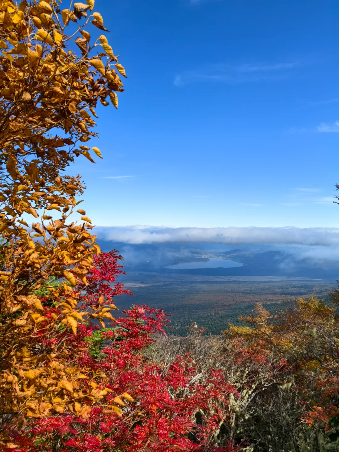 Top Camping Spots in Tokyo | Between the City's Edge and the Wilderness