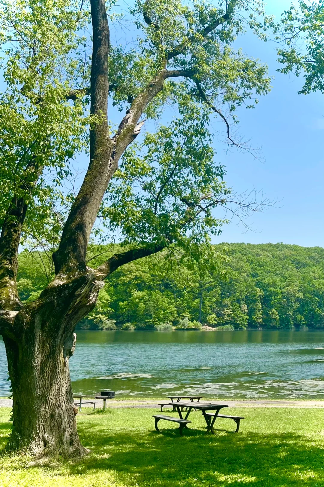 NJ｜Must-Visit Spot for Swimming, BBQ, Picnic, Boating, and Hiking