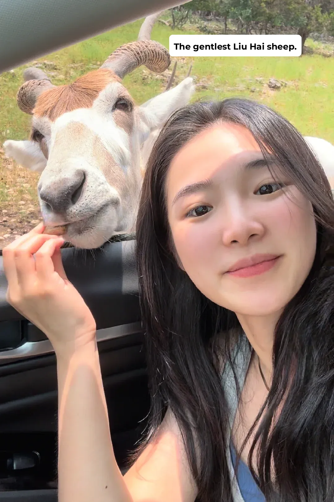 San Antonio｜A Perfectly Engaging Zoo Experience