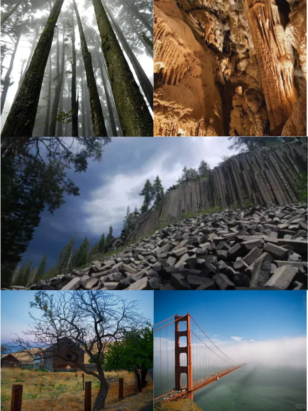 🌄 Exploring Northern California: A Must-See Attractions List 🌄