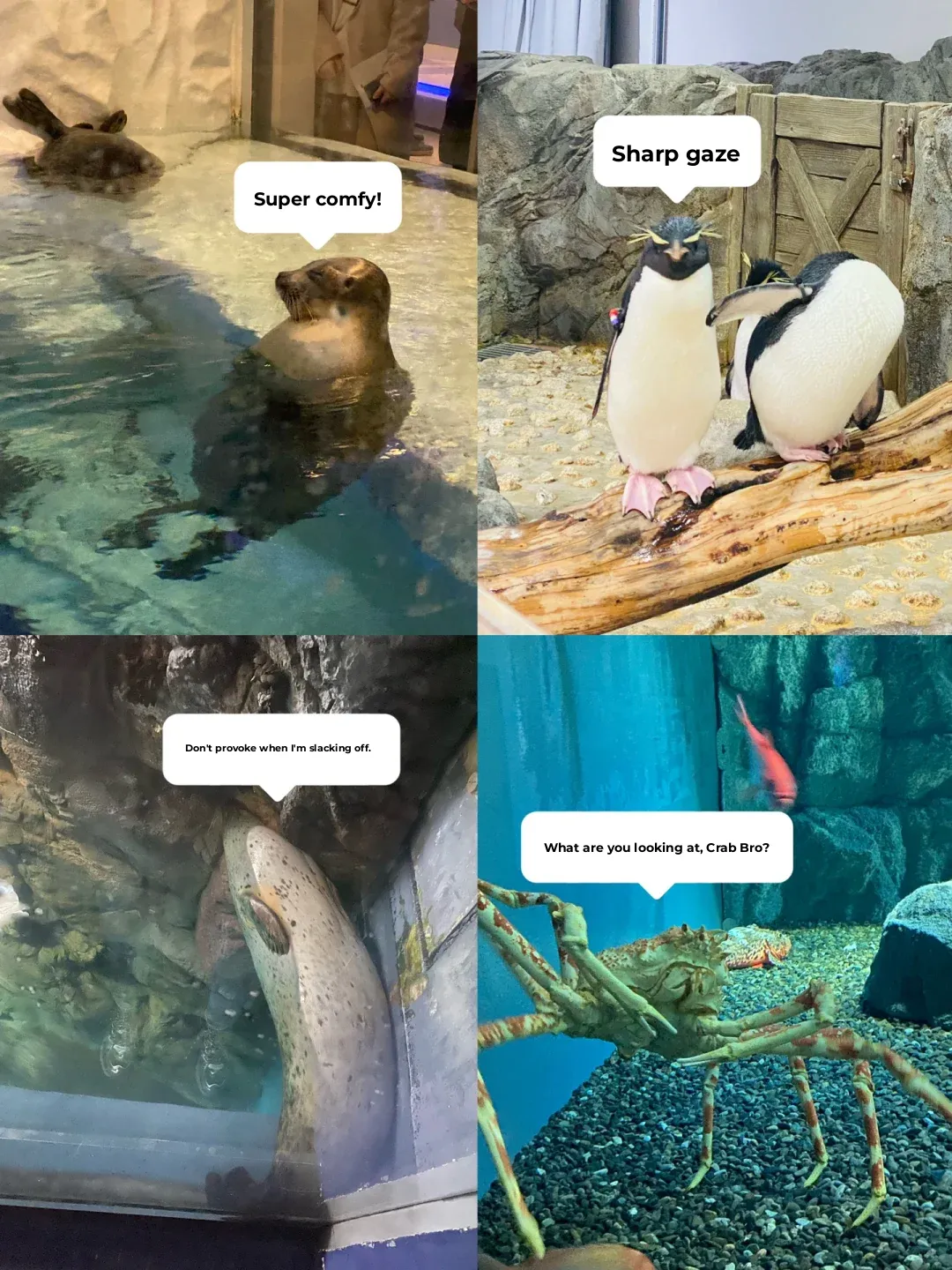 Back from Osaka, fresh and hot food, drinks, and fun guide!