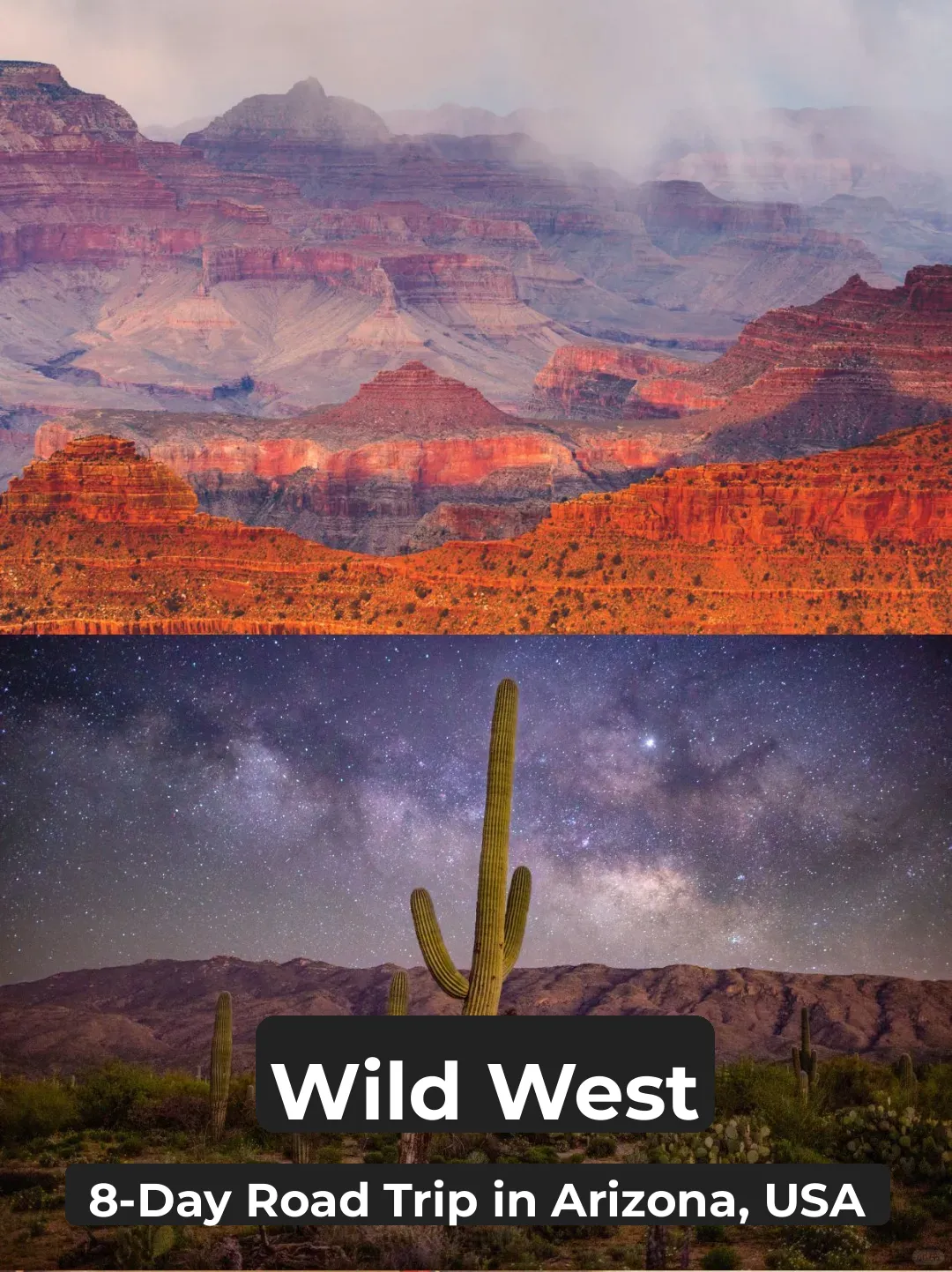 Arizona, USA | 8-Day Wild Road Trip Itinerary + Insider Tips