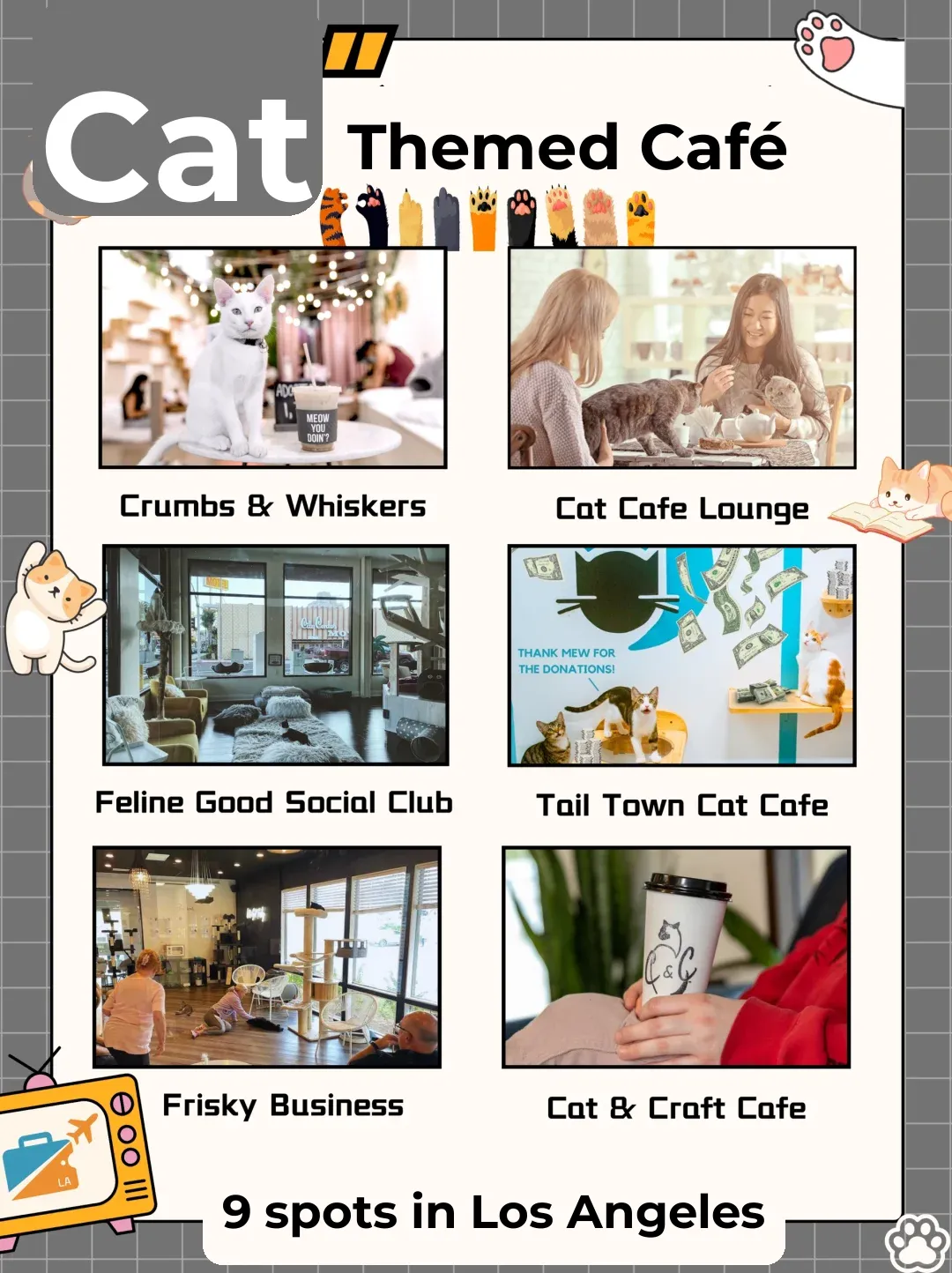 What could be more relaxing than a cat cuddle session? 🐱 Los Angeles Cat Café