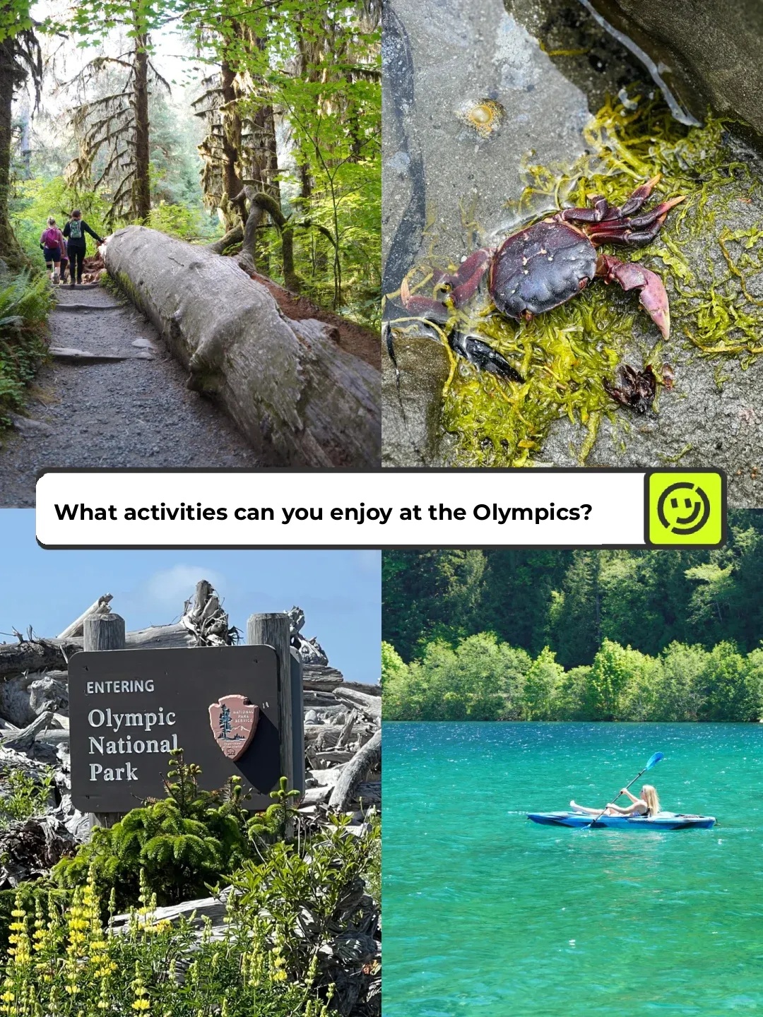 Seattle's Olympic National Park | Ultimate Guide to Must-Visit Spots! 🌲