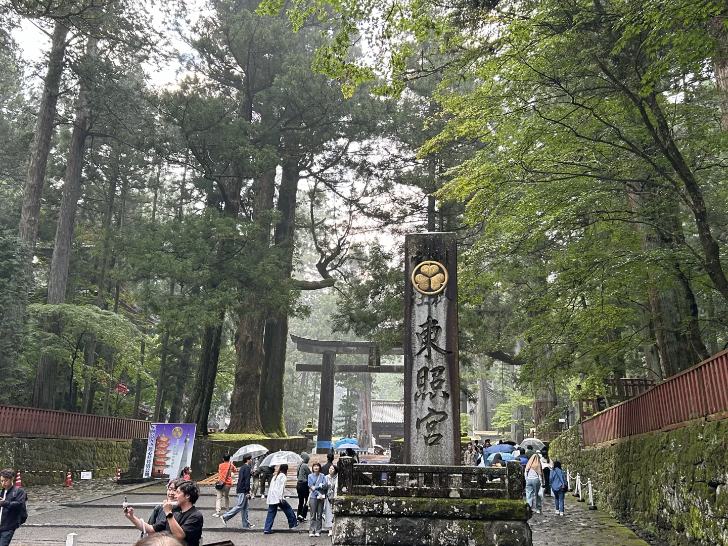 Beginner-Friendly Hiking Trail Near Tokyo: Oku-Nikko