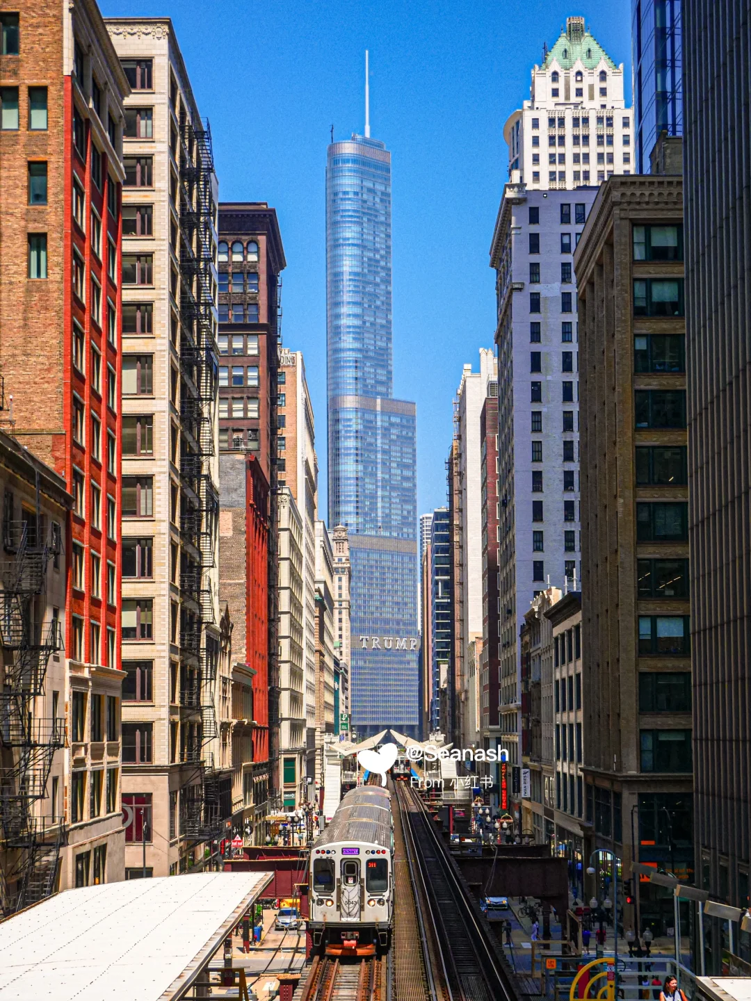 Chicago | Half-Day City Highlights Photo Spots Guide 📷