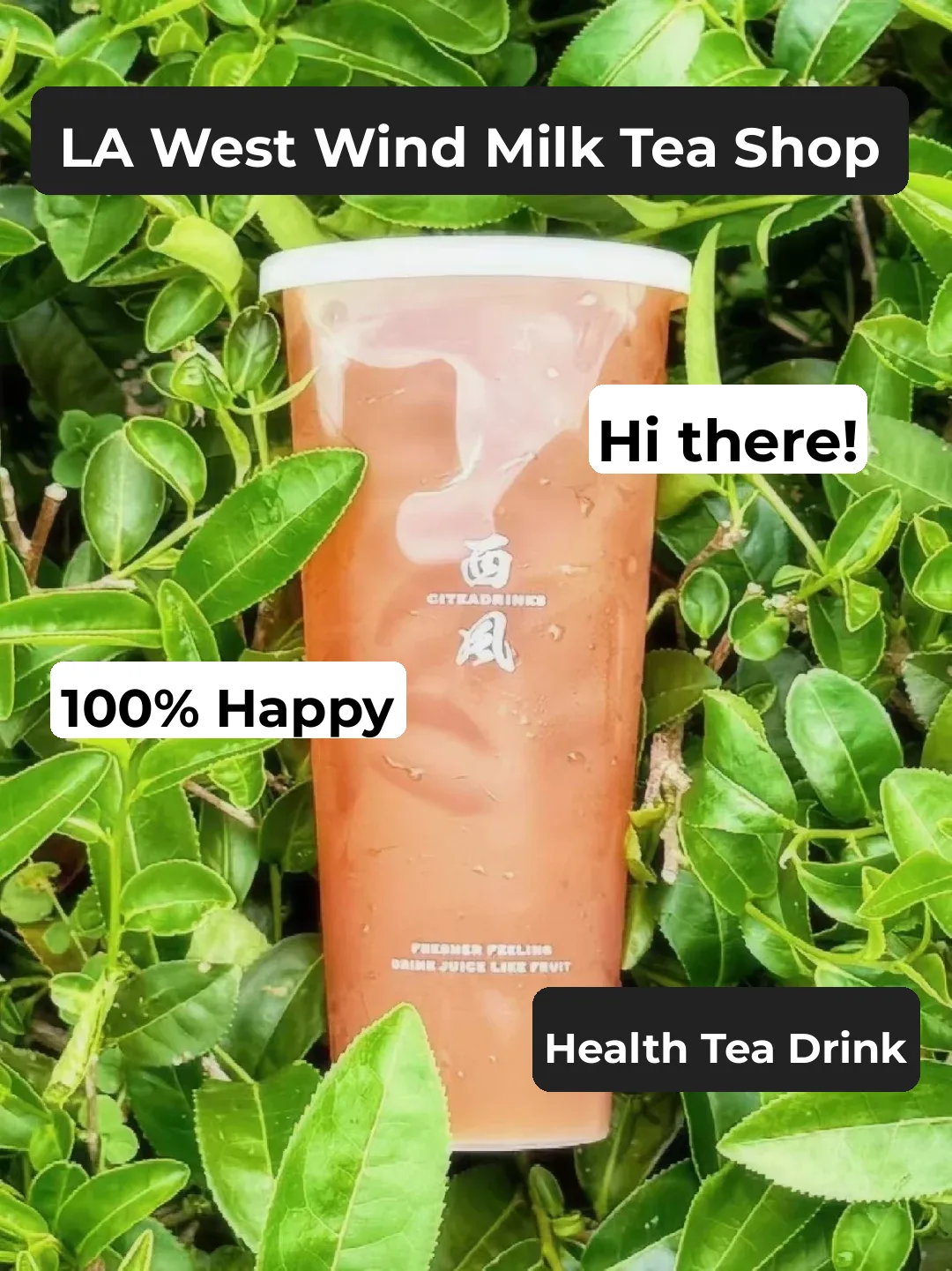 LA｜West Wind Tea Shop, The New Trend in Healthy Tea Drinks 🌿