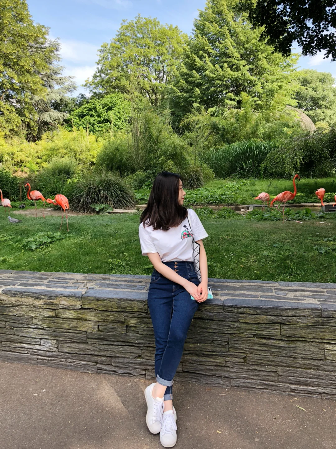 Paris Guide | Where to Spot Flamingos 🦩 in the City