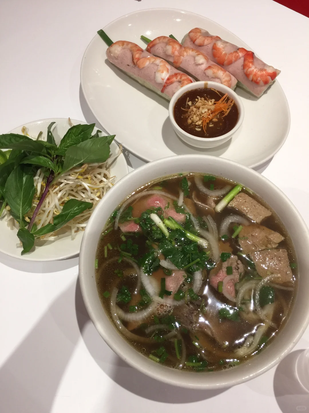 Vietnamese Pho & Fresh Spring Rolls in Dallas