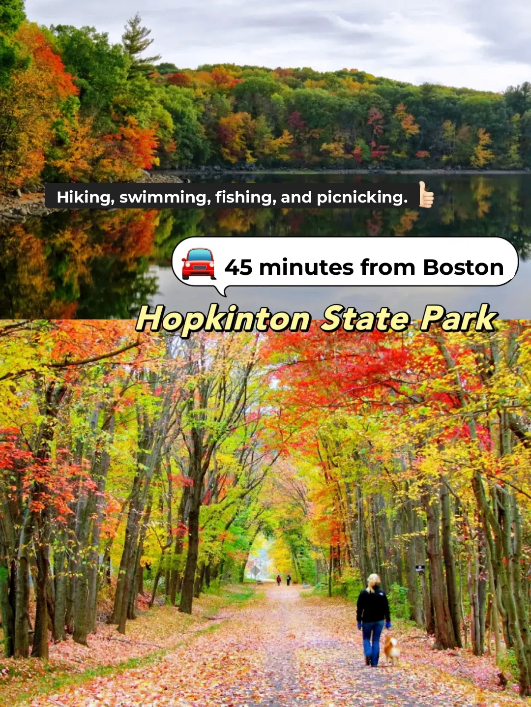 Best Fall Foliage Hiking Trails Near Boston 🍁 Scenic Views Like a Painting!