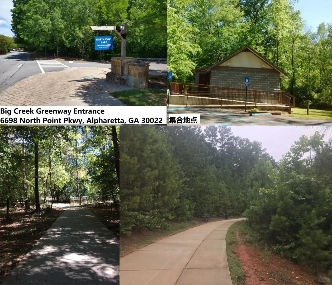 **2/22/25 Saturday 3pm Alpharetta Hike – Trees Block 99% of the Sunlight**